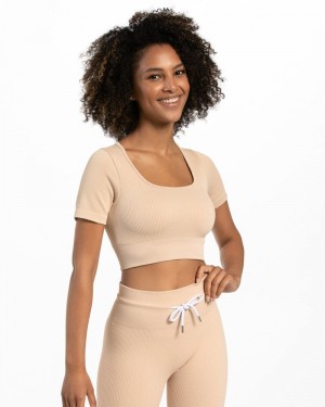 Beige Women Teveo Ribbed Crop Tops | JQS-4160