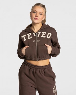 Dark Brown Women Teveo College Zip Hoodie | CVP-7504