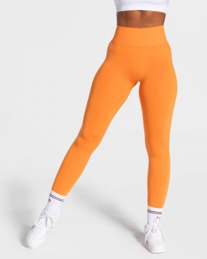 Orange Women Teveo Classy Leggings | YTY-0469