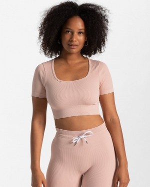 Pink Women Teveo Ribbed Crop Tops | LER-9663